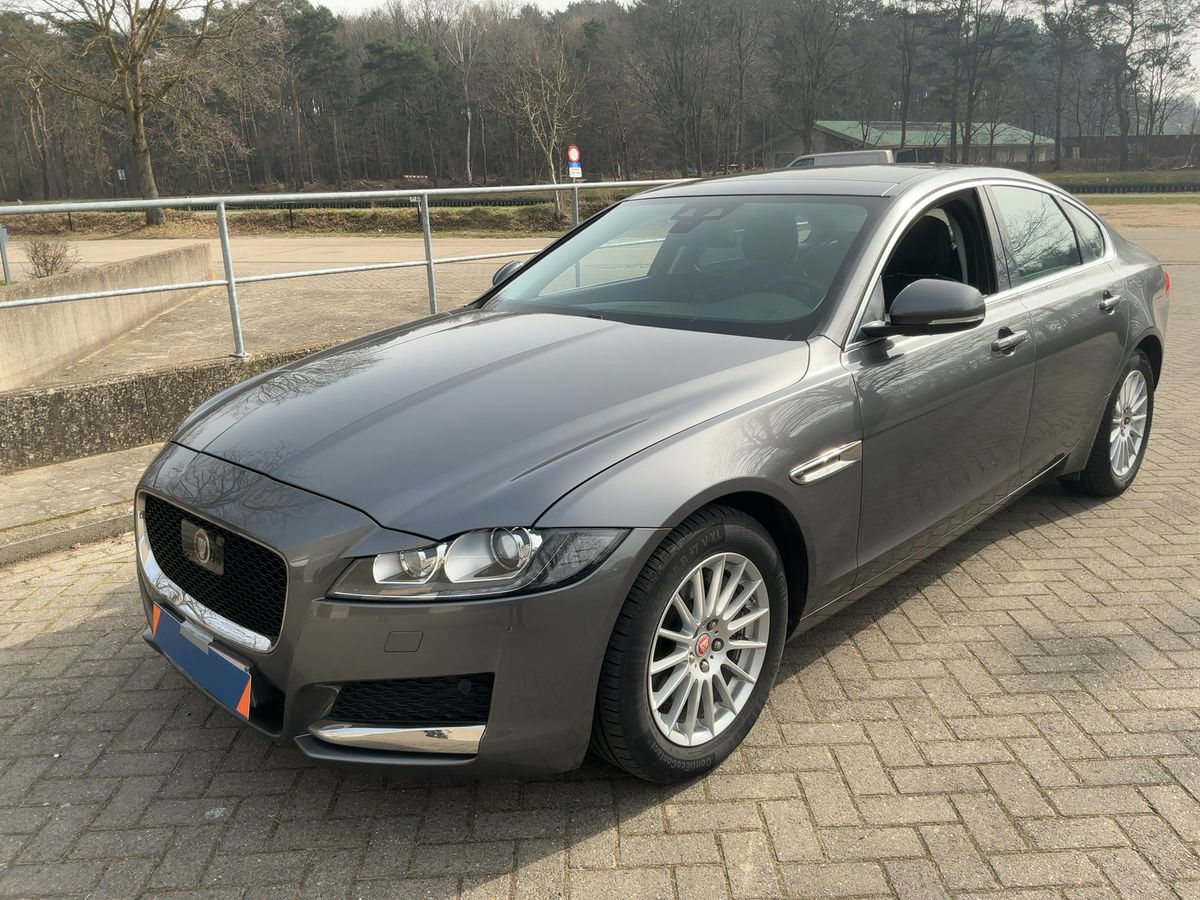 Jaguar XF d'occasion