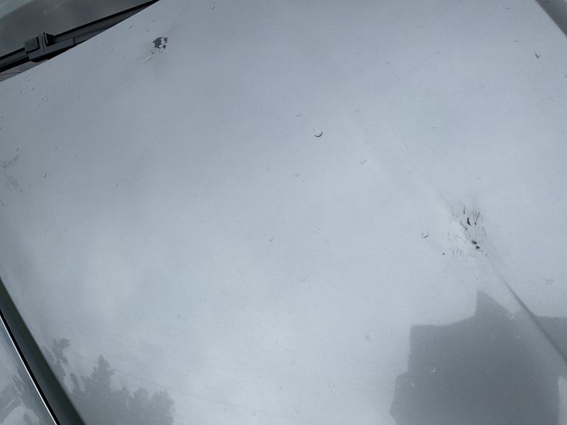 Skoda Octavia 1.6 TDI Ambition 2012 – снимка 44