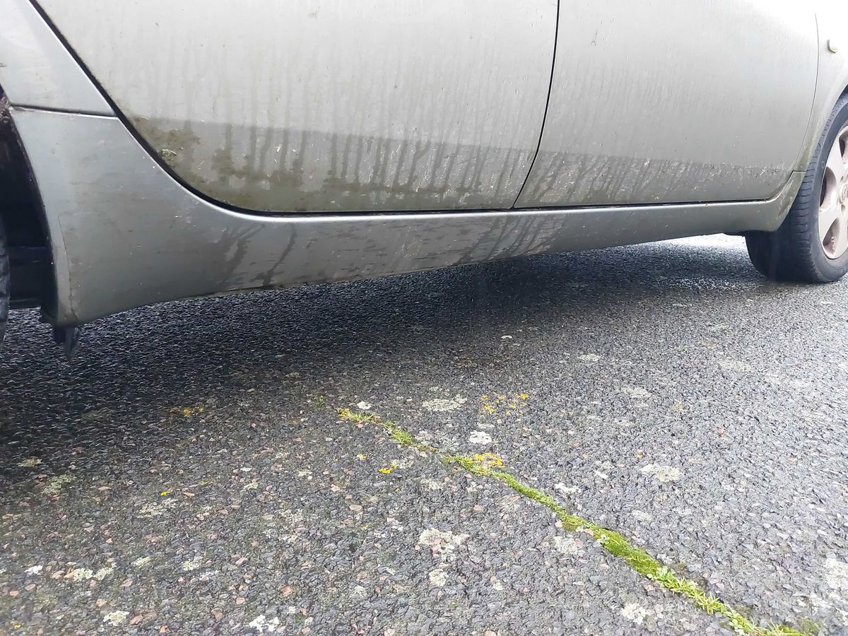 Nissan Primera 2006 — photo 71
