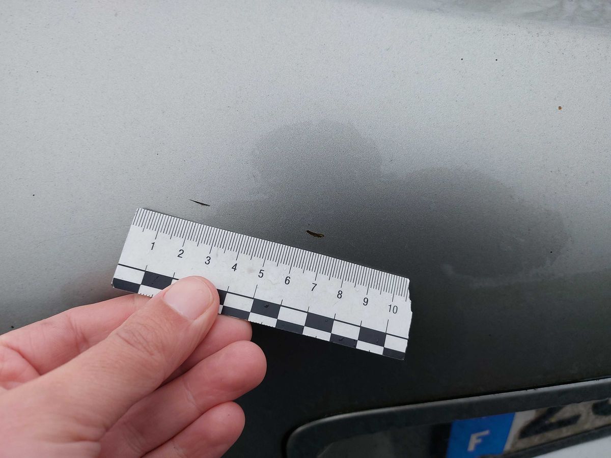 Nissan Primera 2006 — photo 42