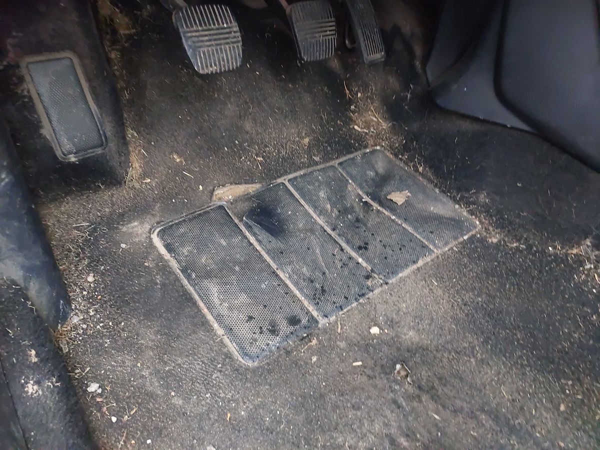 Nissan Primera 2006 — photo 29