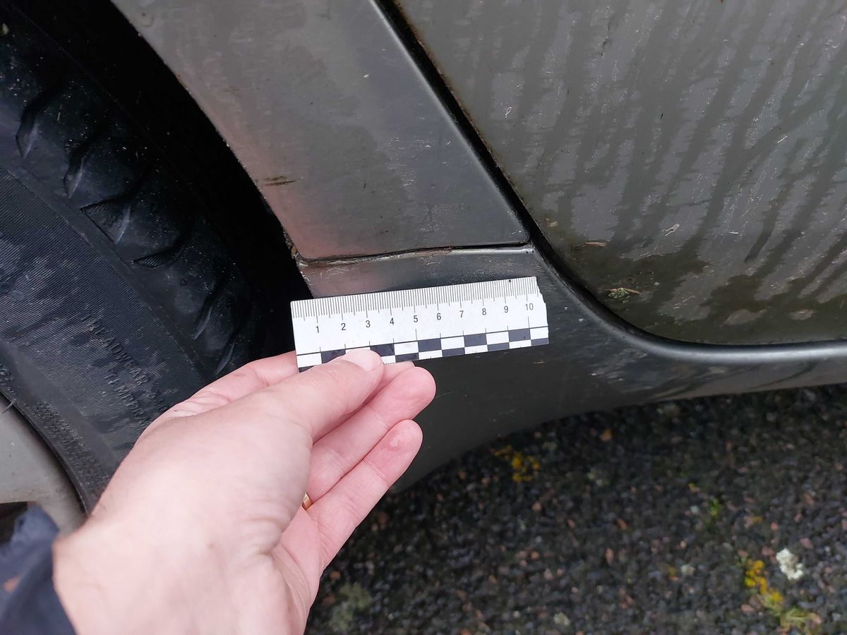 Nissan Primera 2006 — photo 23
