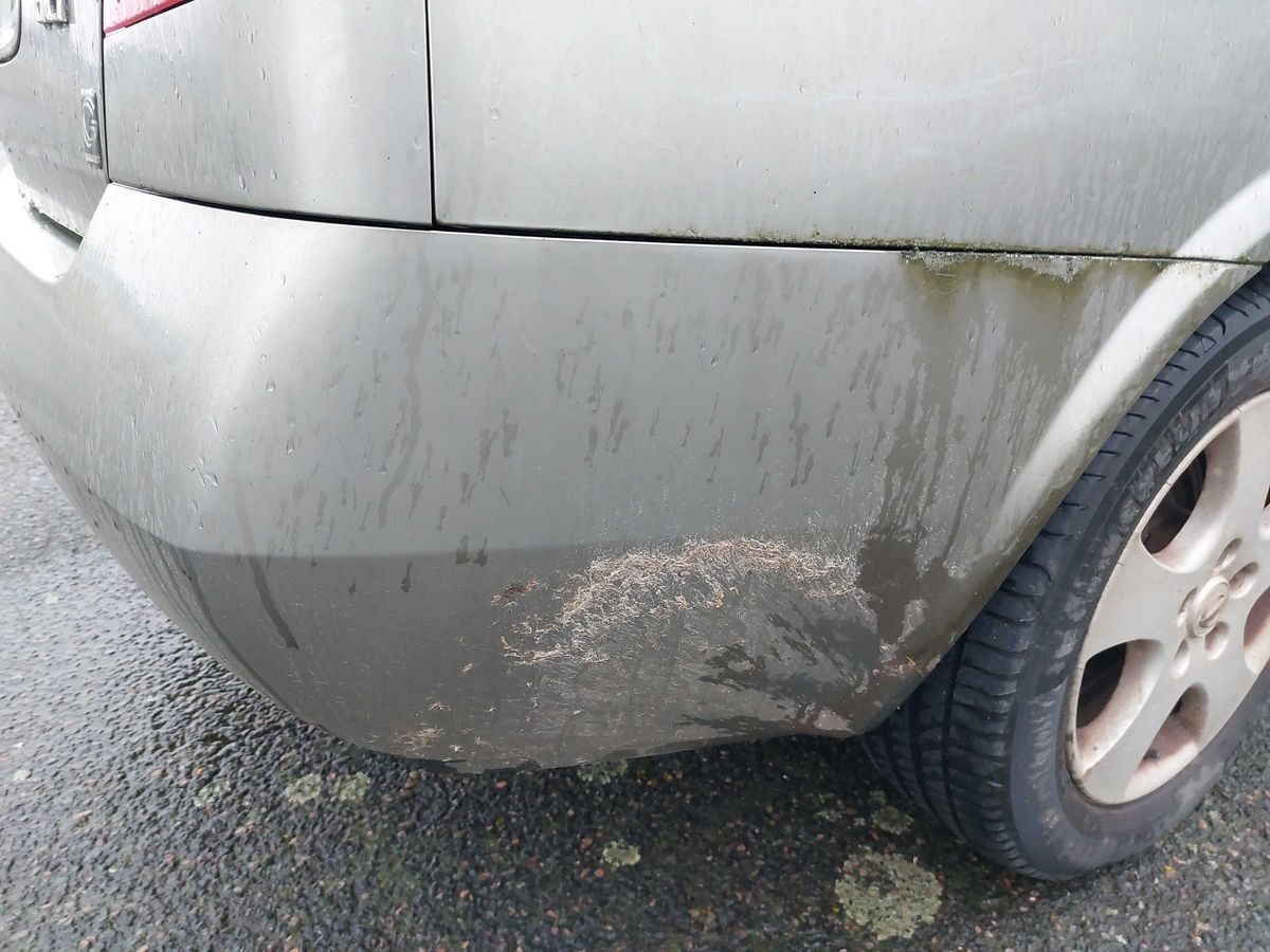 Nissan Primera 2006 — photo 40