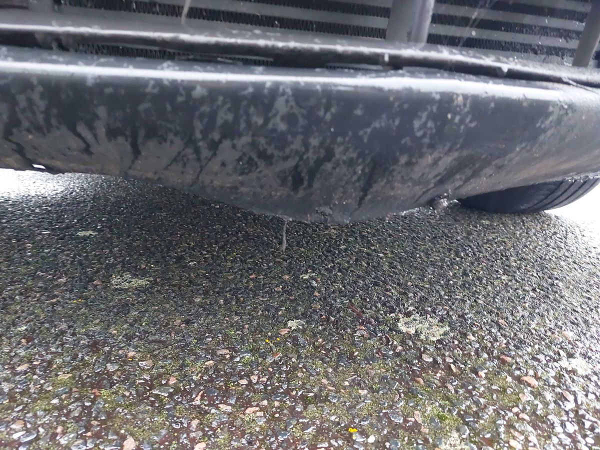 Nissan Primera 2006 — photo 56