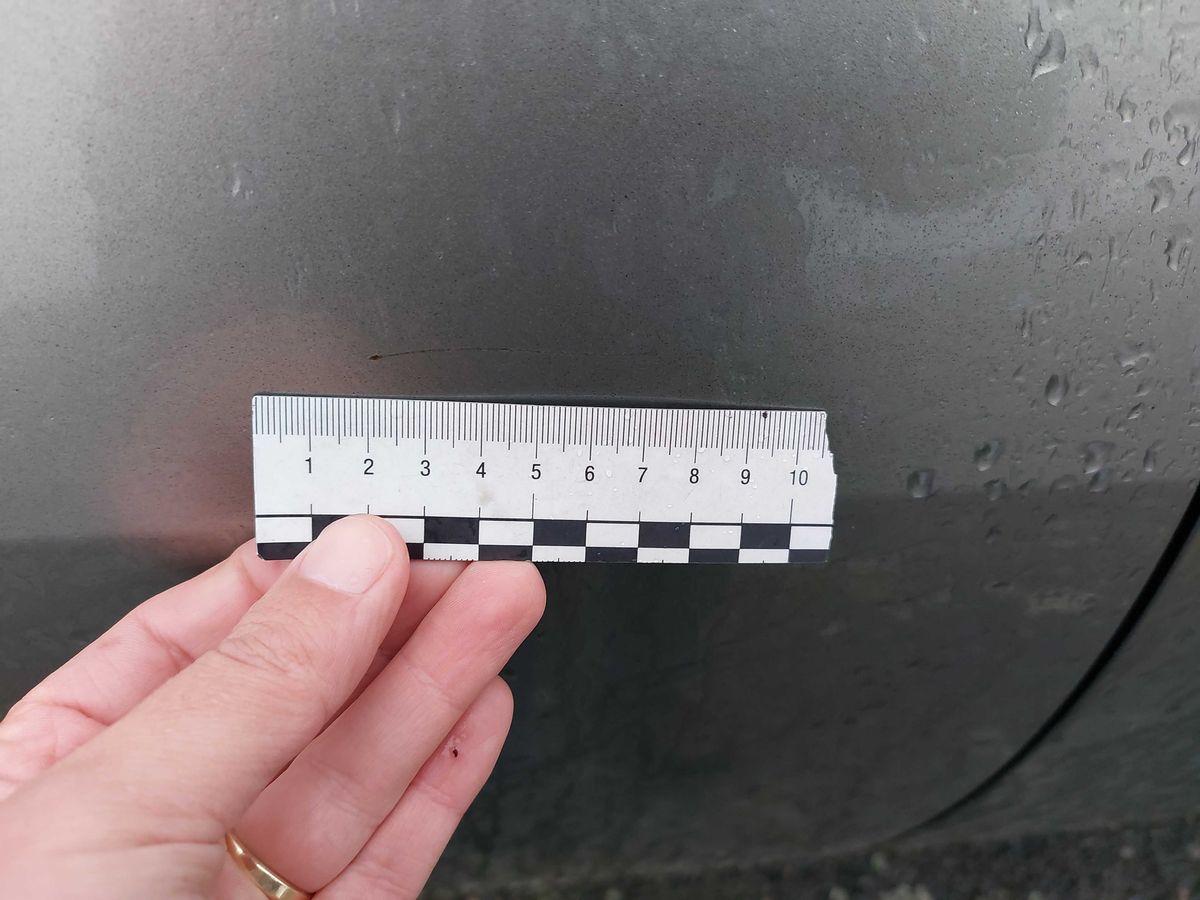Nissan Primera 2006 — photo 26