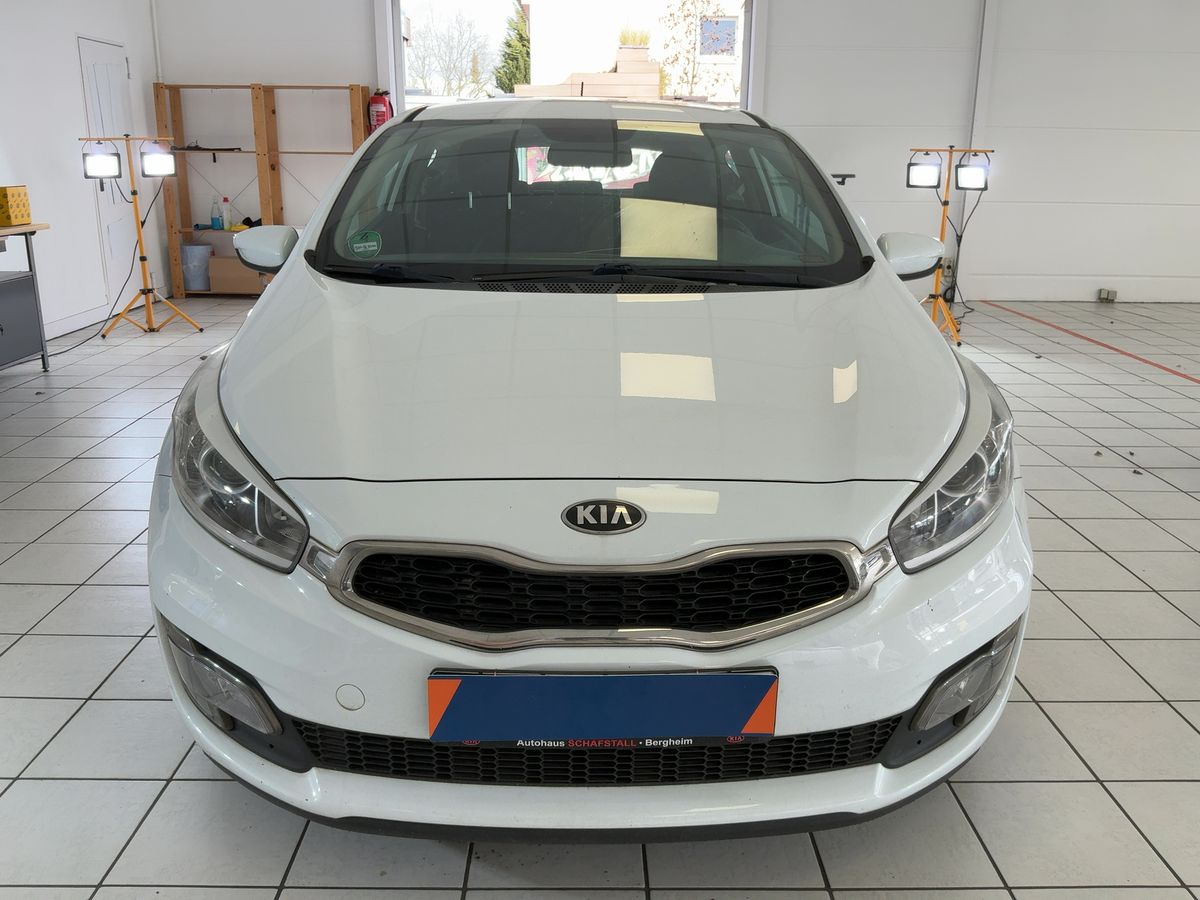 Kia pro_cee'd 2013 — photo 15