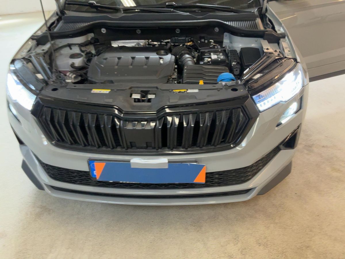Skoda Karoq 2024 — photo 30
