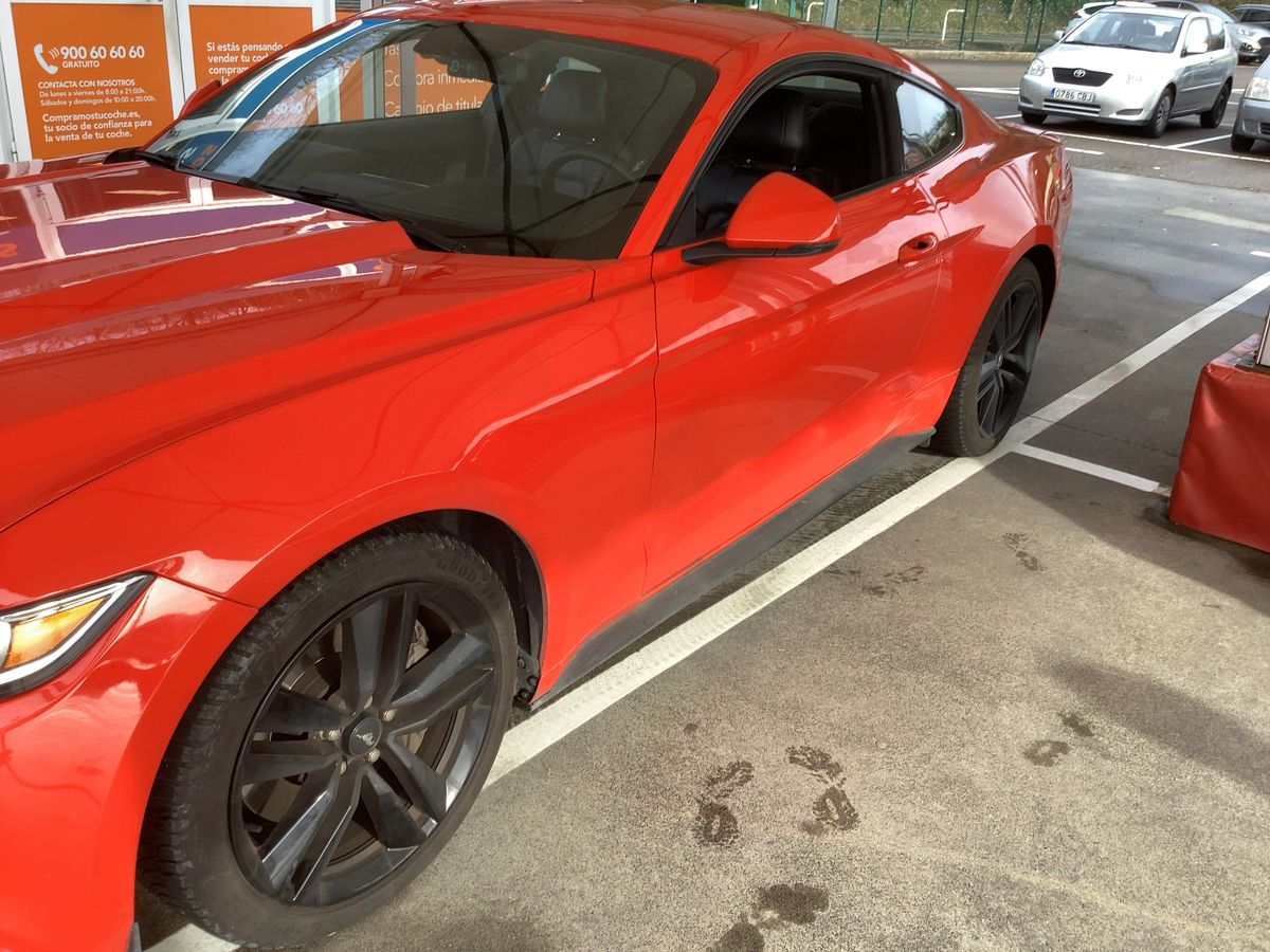 Ford Mustang d'occasion