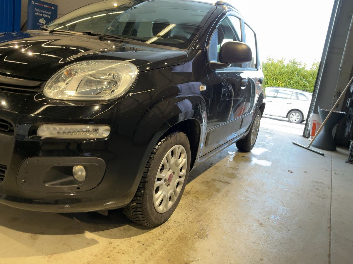 Fiat Panda d'occasion