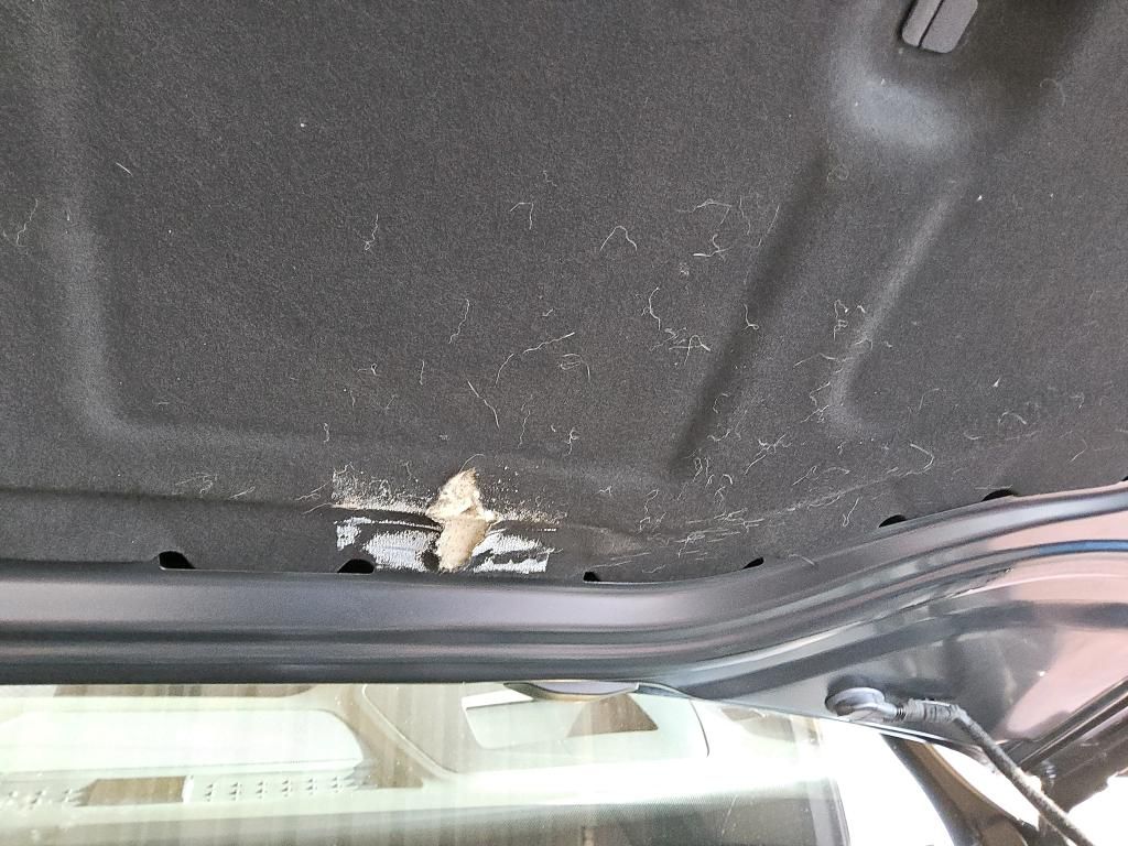 Volkswagen Golf d'occasion