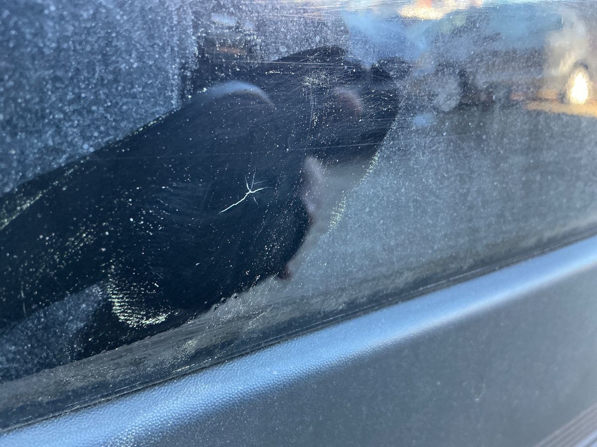 Mitsubishi Eclipse 2019 — photo 36