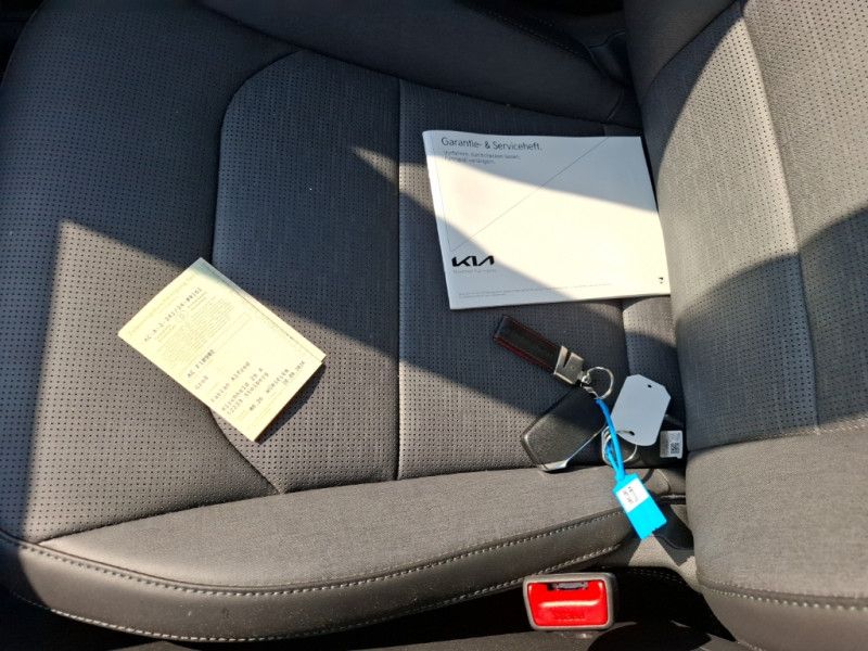 Kia Niro electric drive 150 kW Spirit