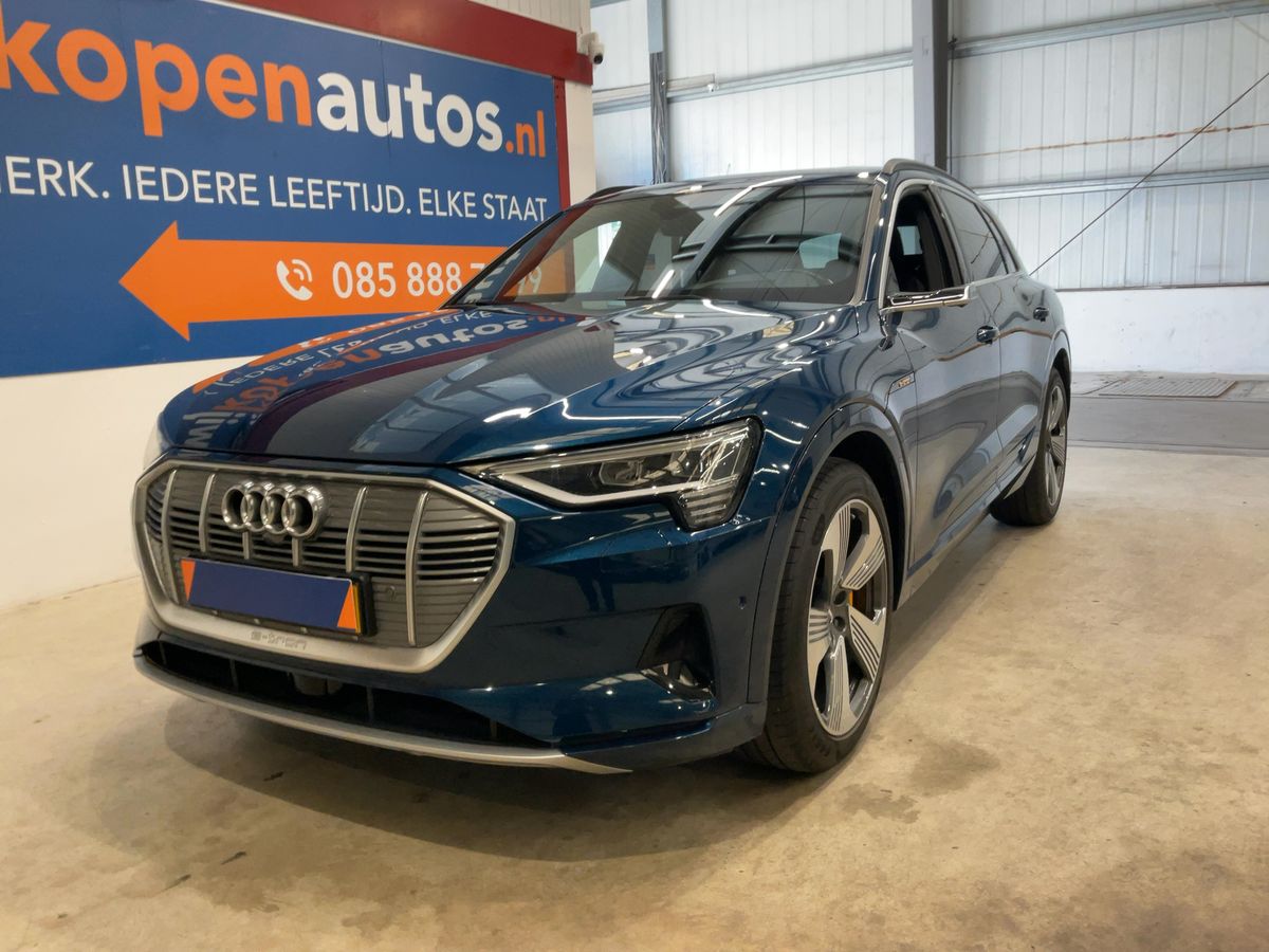 Audi e-tron d'occasion