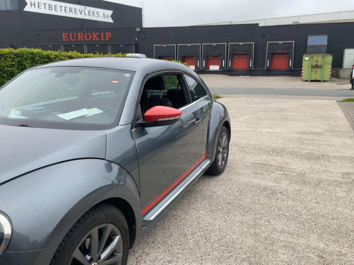 Volkswagen Beetle d'occasion