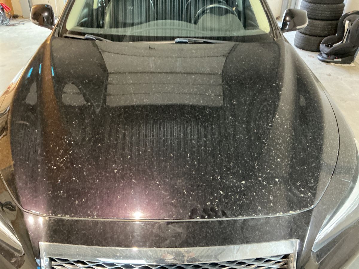 Infiniti Q50 2015 — photo 35