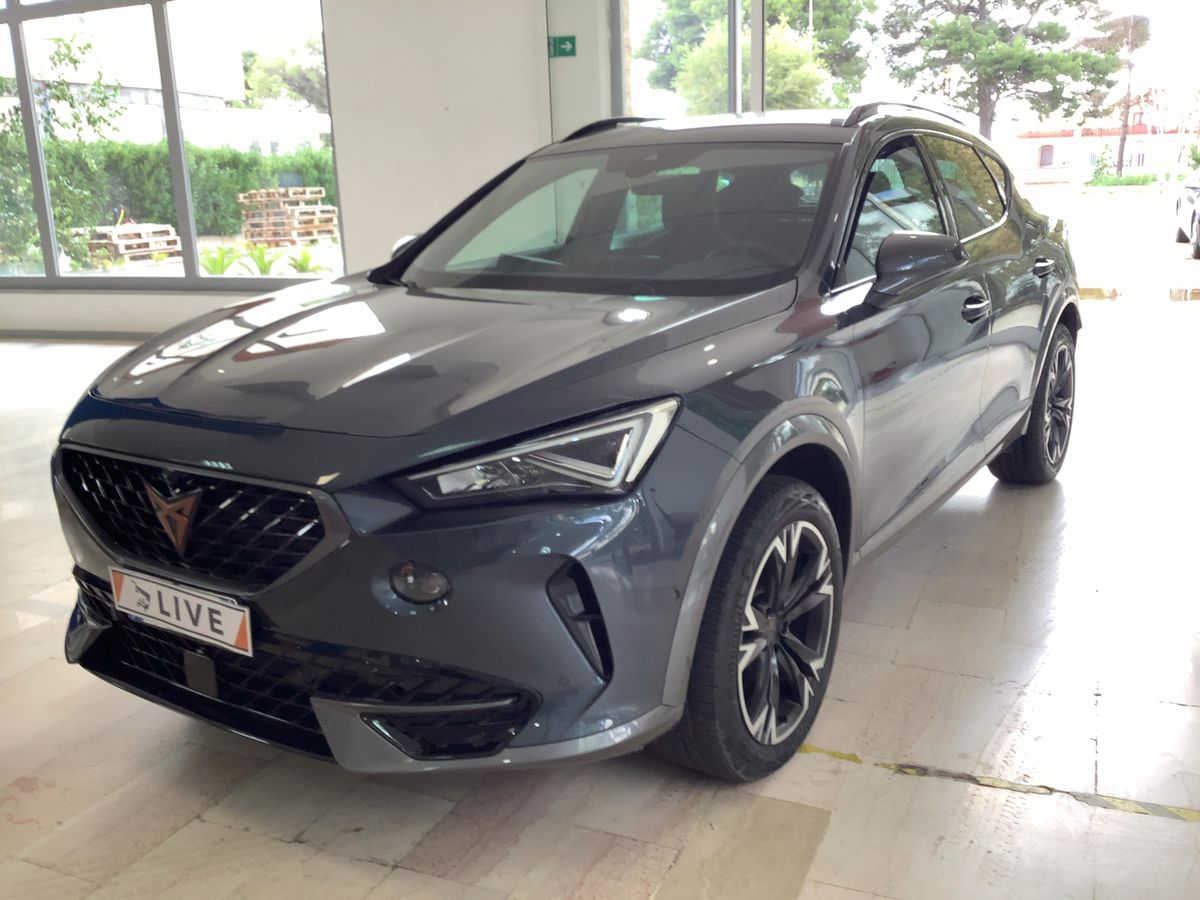 Cupra Formentor 2.0 TDI 4Drive