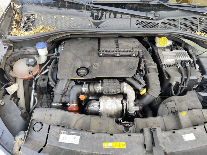 Citroen C4 Cactus 1.6 Blue-HDi Feel 2015 – снимка 8