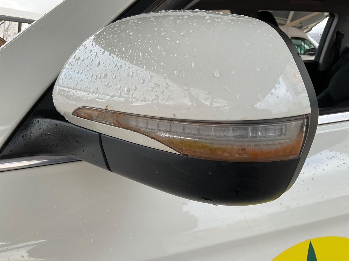 Ssangyong Musso 2024 — photo 39