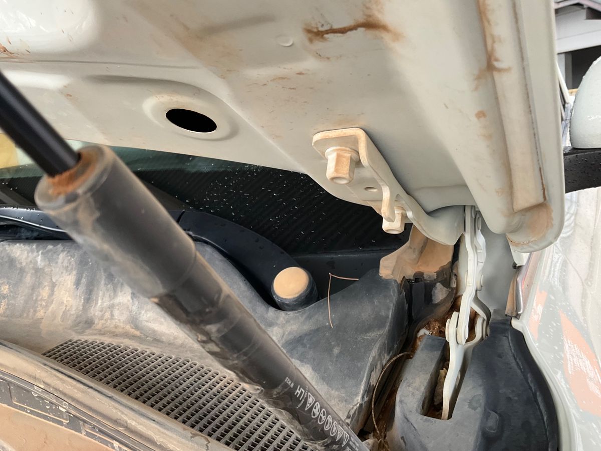 Ssangyong Musso 2024 — photo 25