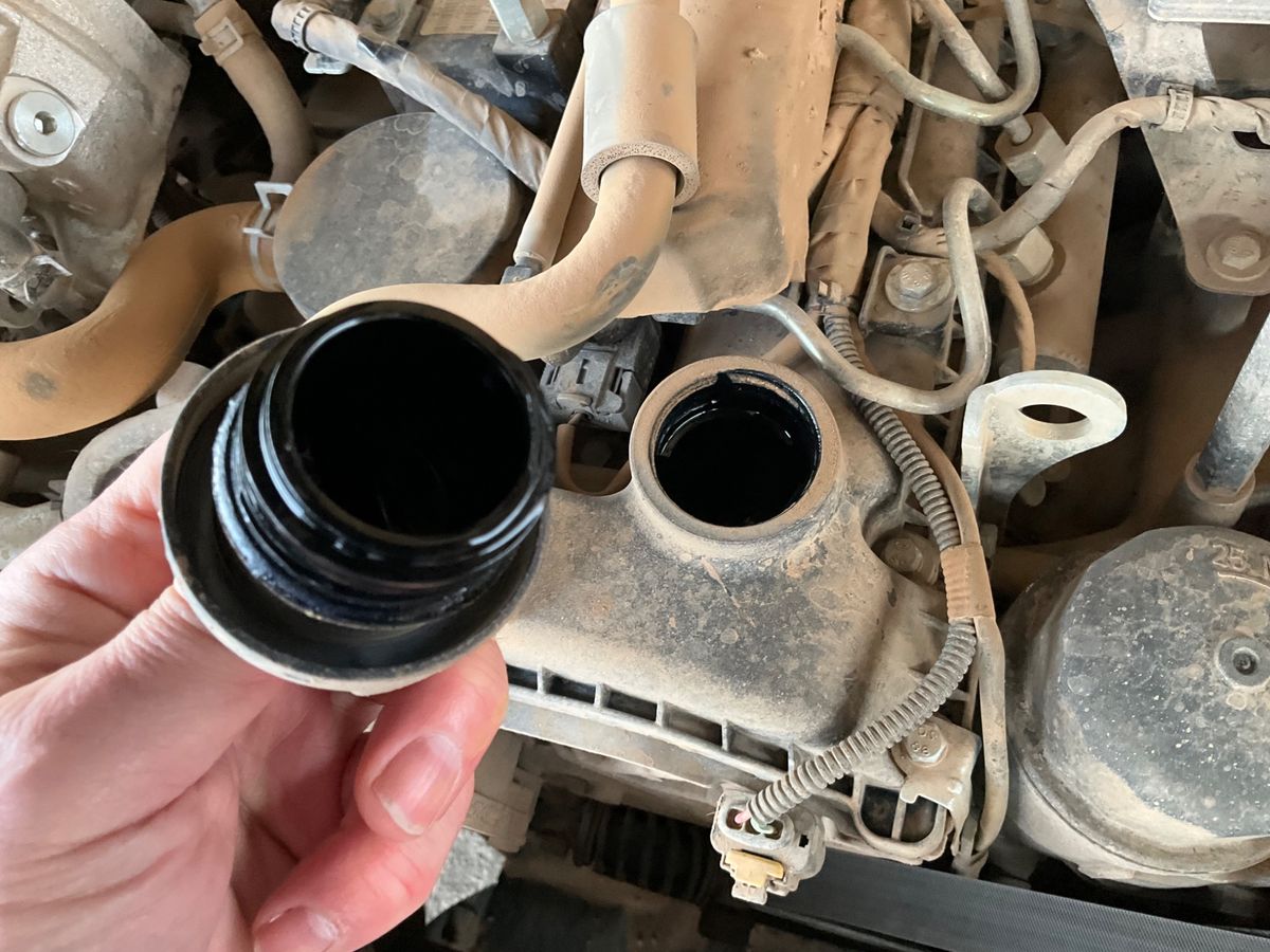 Ssangyong Musso 2024 — photo 33