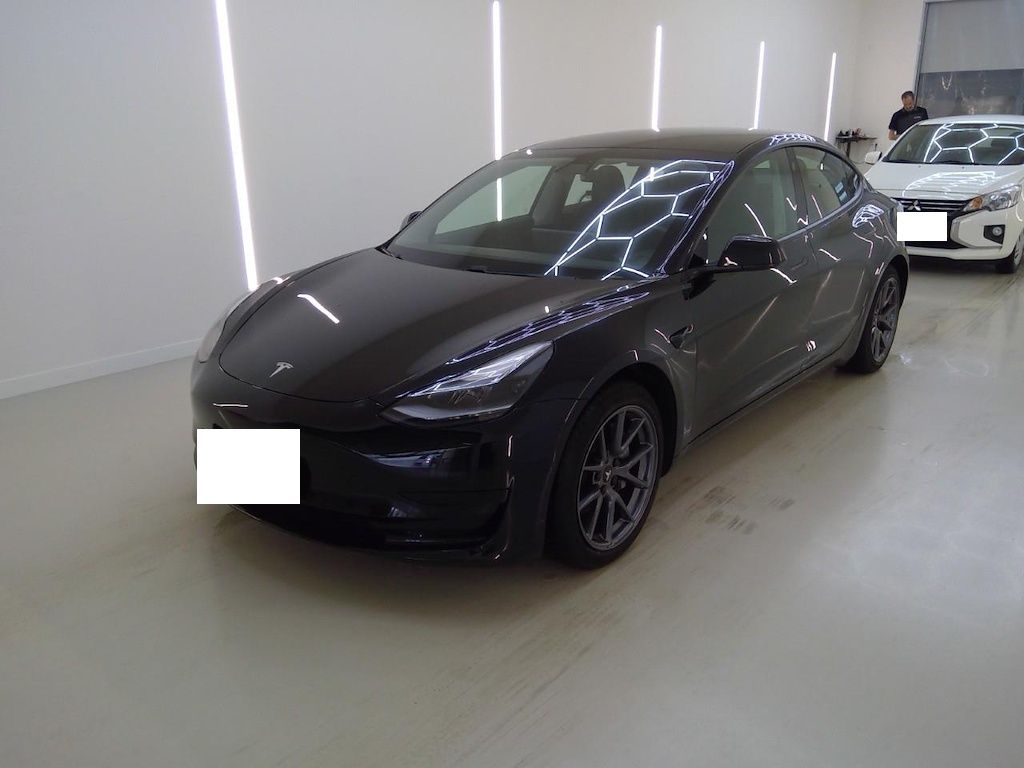 Tesla Model 2021