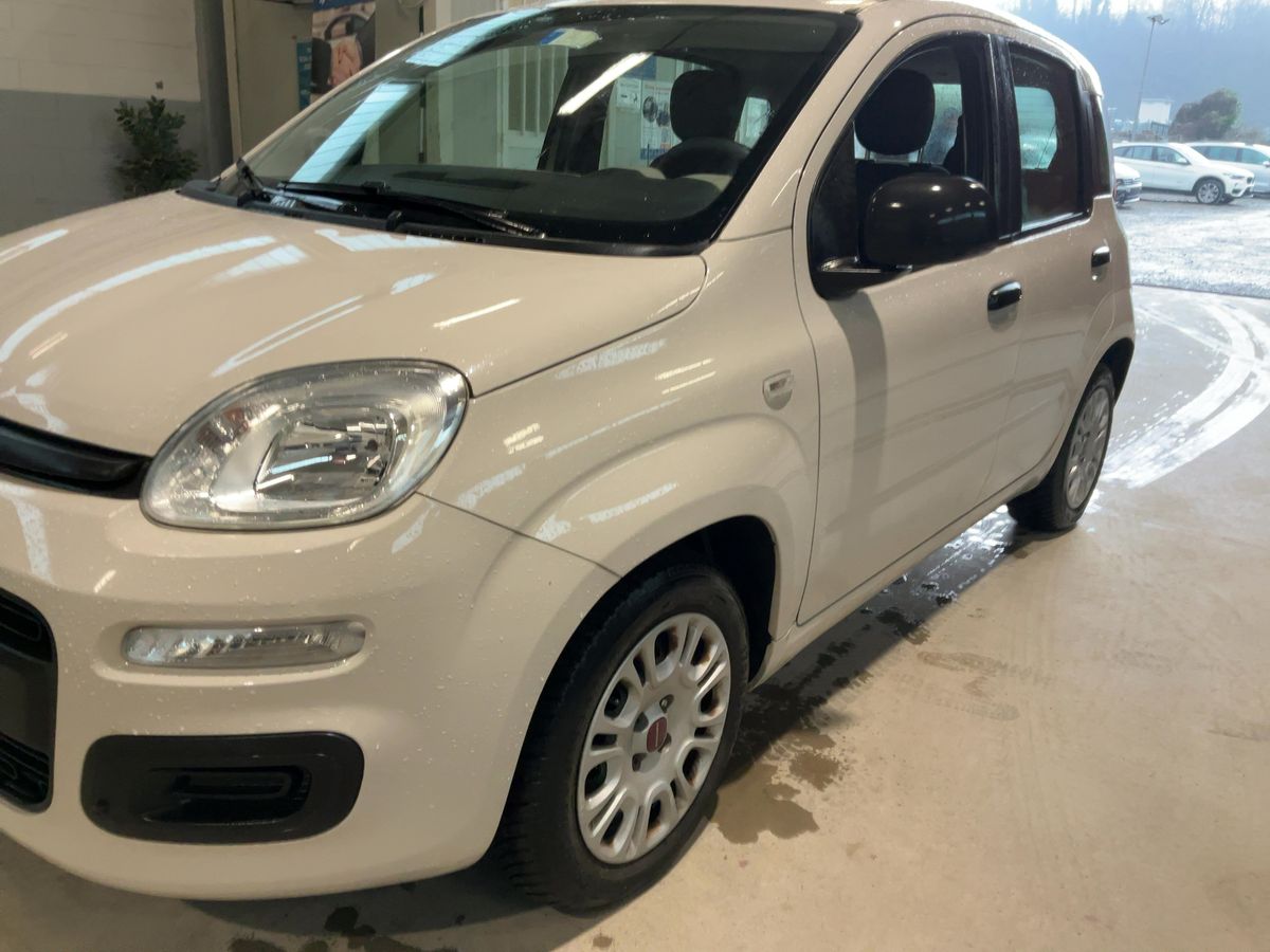 Fiat Panda d'occasion