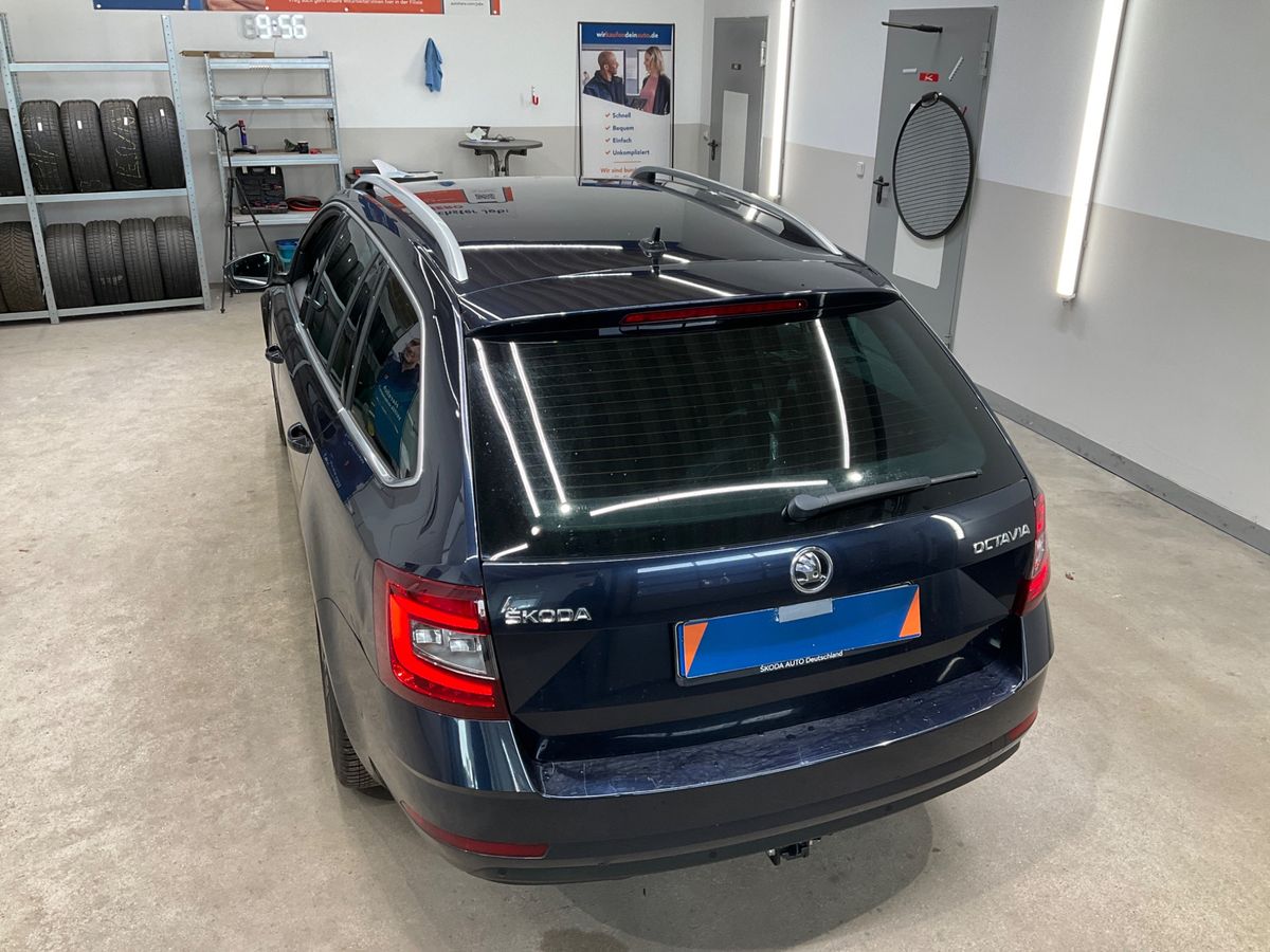 Skoda Octavia 2019 — photo 60