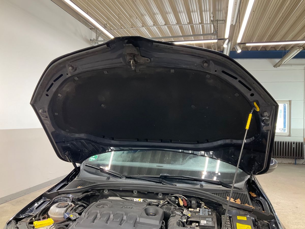Skoda Octavia 2019 — photo 53