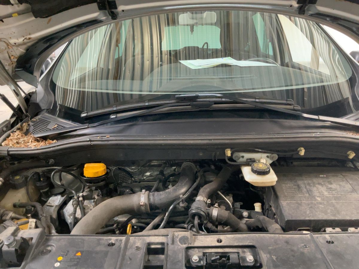 Renault Grand 2015 — photo 23