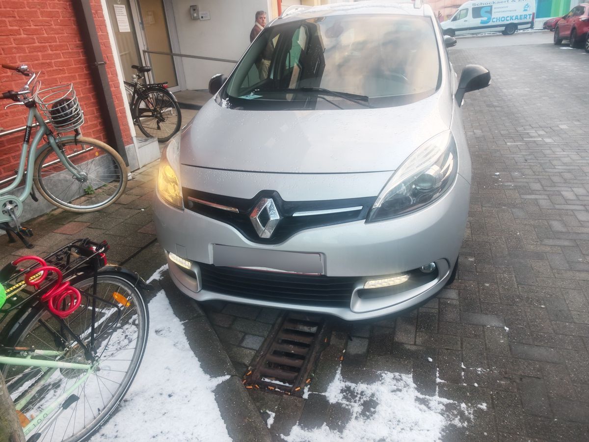 Renault Grand 2015 — photo 75