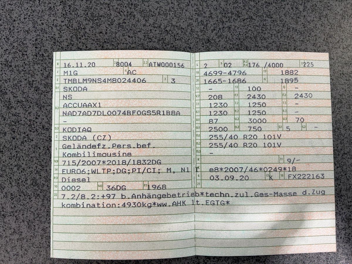 Skoda Kodiaq d'occasion