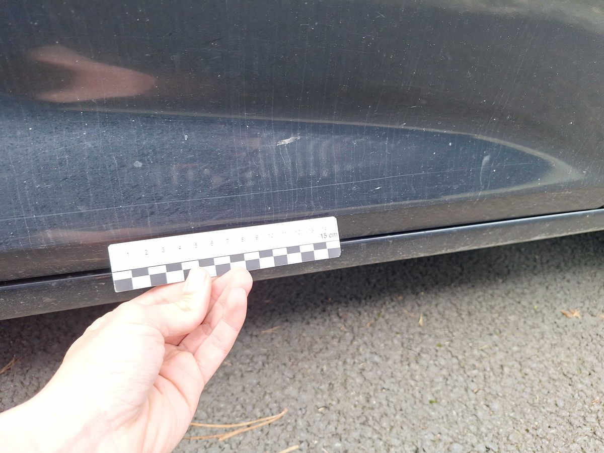 Opel Insignia 2018 — photo 64