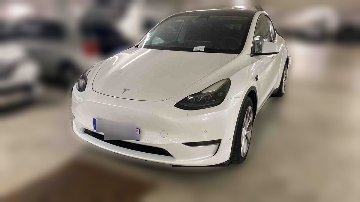 Tesla Model 2021