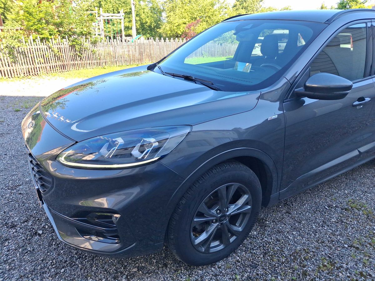 Ford Kuga d'occasion