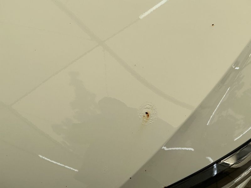 Volkswagen Golf VII 1.4 TSI Highline BlueMotion Tech 2013 – снимка 40