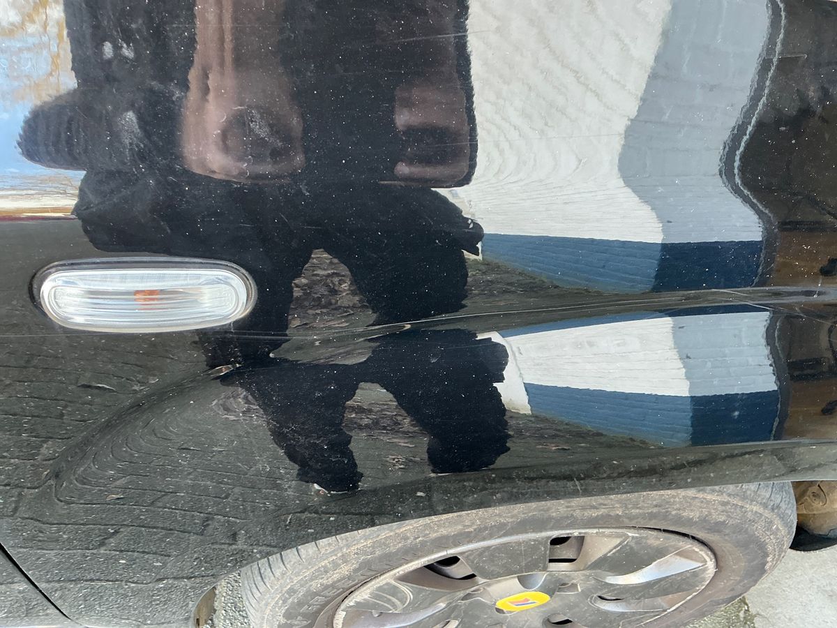 Fiat Panda 2015 — photo 25
