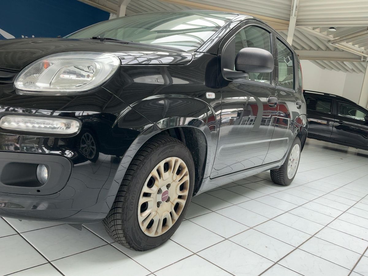 Fiat Panda d'occasion