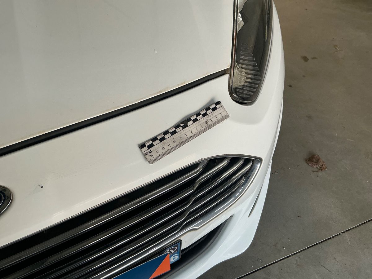 Ford Fiesta 2015 — photo 42