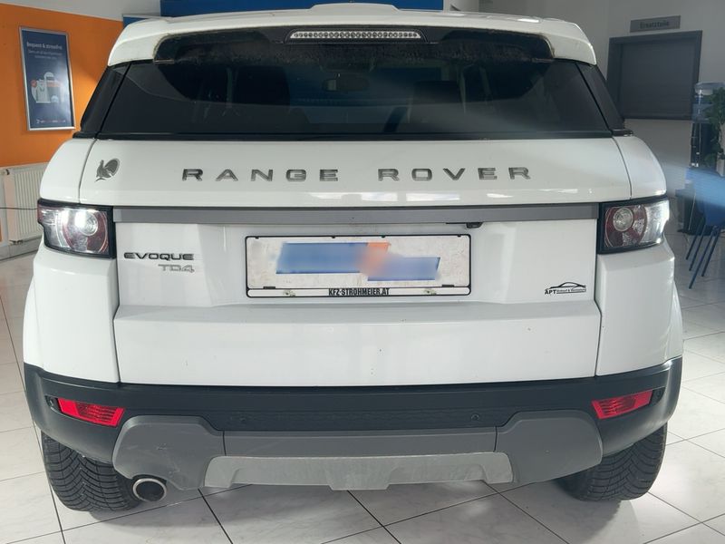 Land Rover Evoque 2.2 Td4 Pure — zdjęcie 5