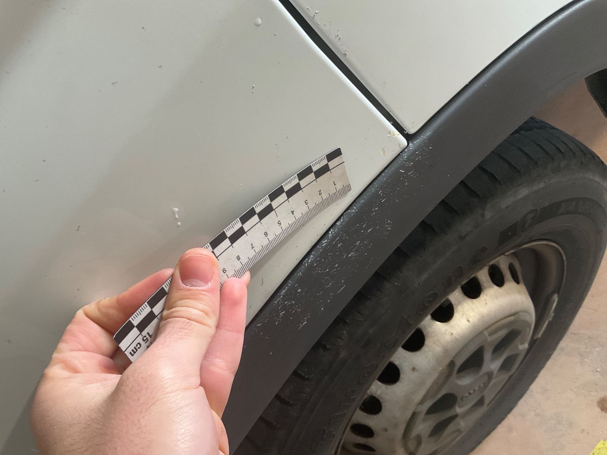 Iveco Daily 2019 — photo 61