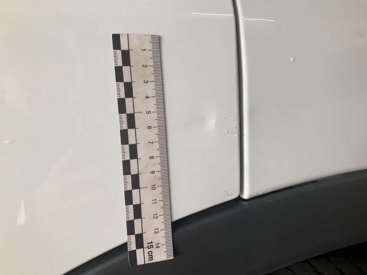 Iveco Daily 2019 — photo 34