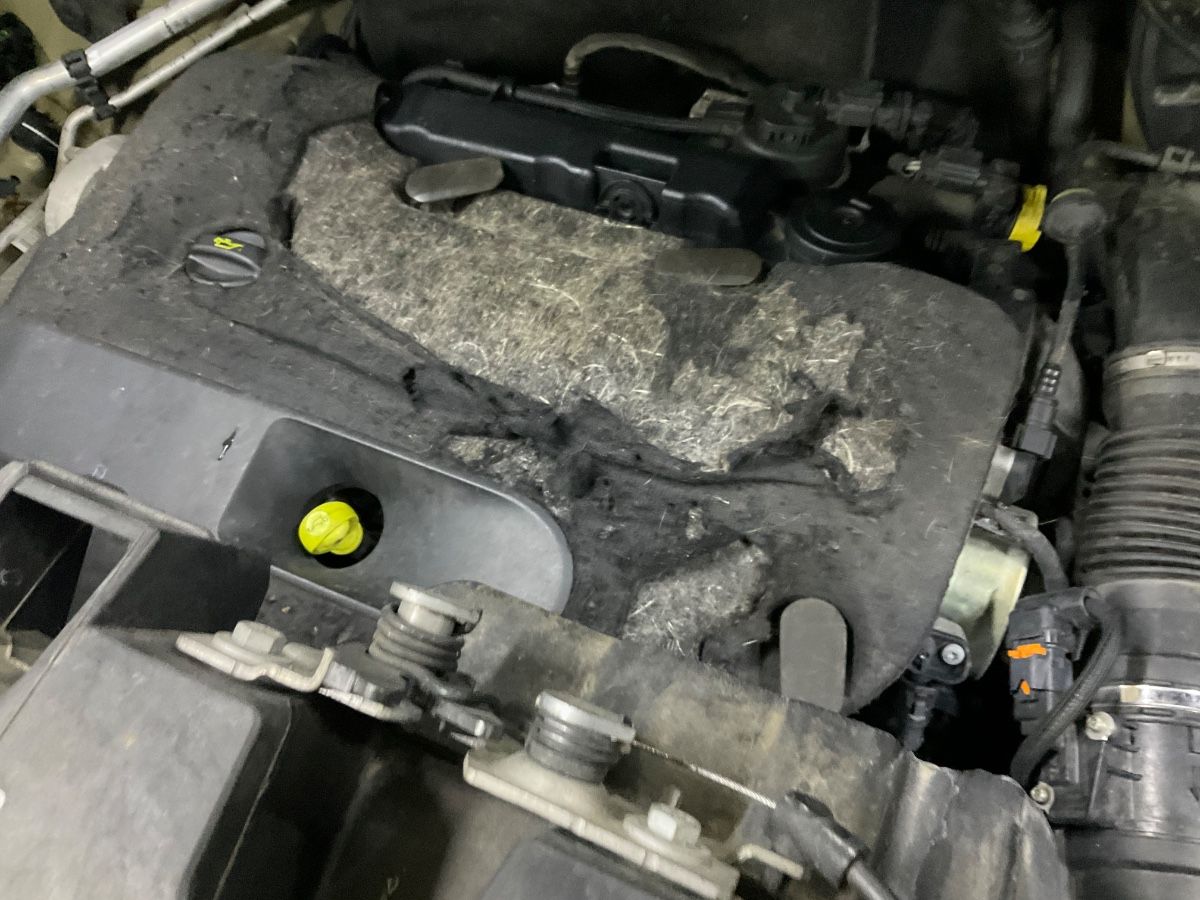 Toyota ProAce 2018 — photo 69