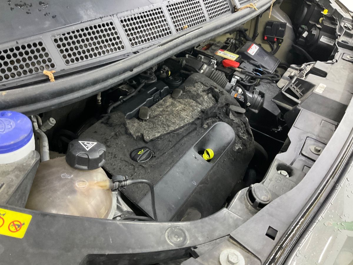 Toyota ProAce 2018 — photo 25