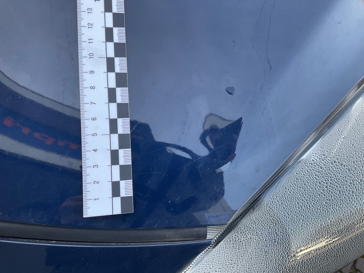 Ford Kuga 2021 — photo 44