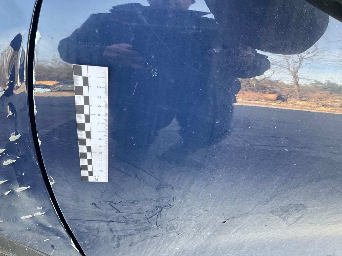 Ford Kuga 2021 — photo 32