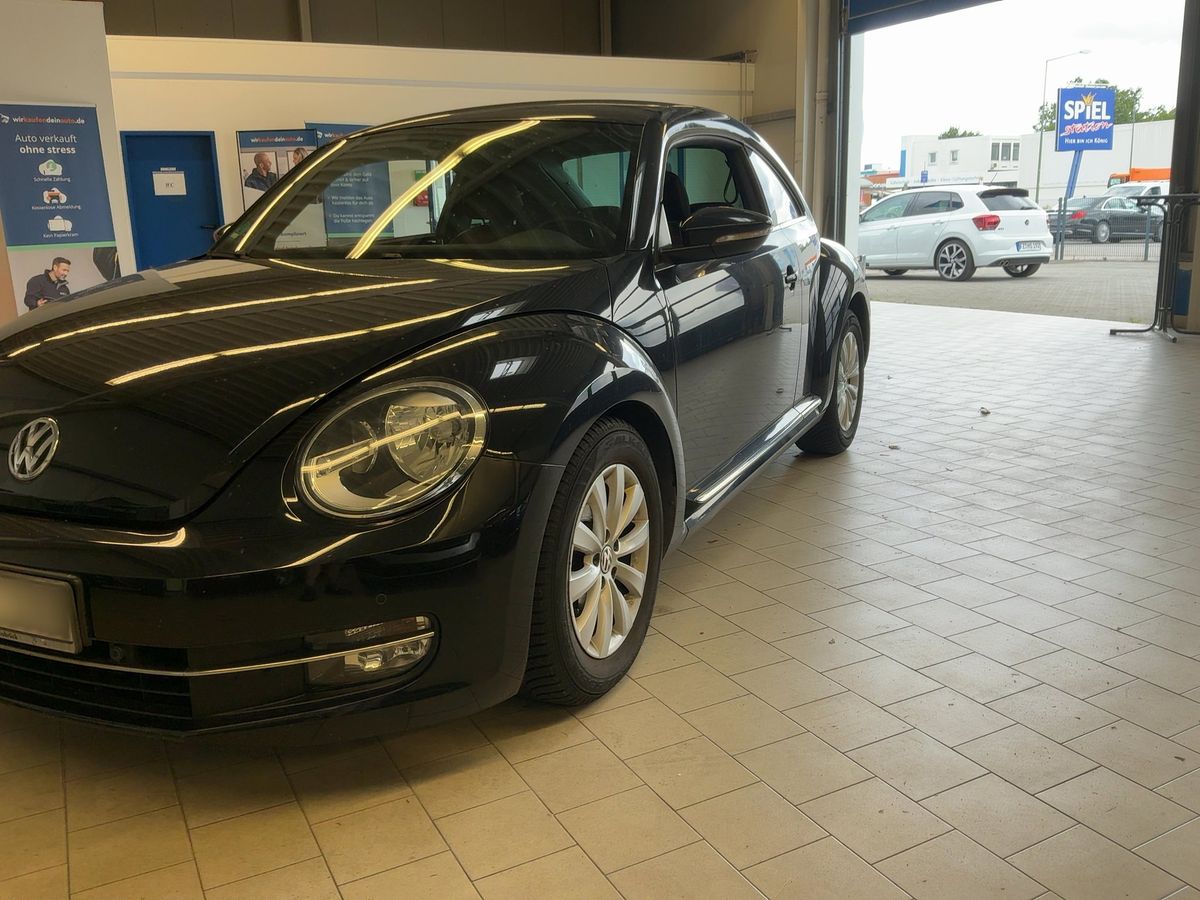 Volkswagen Beetle d'occasion