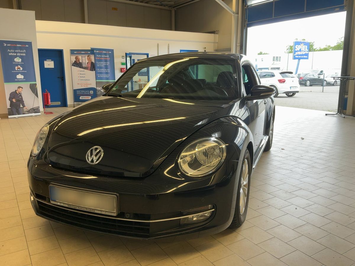 Volkswagen Beetle 2012