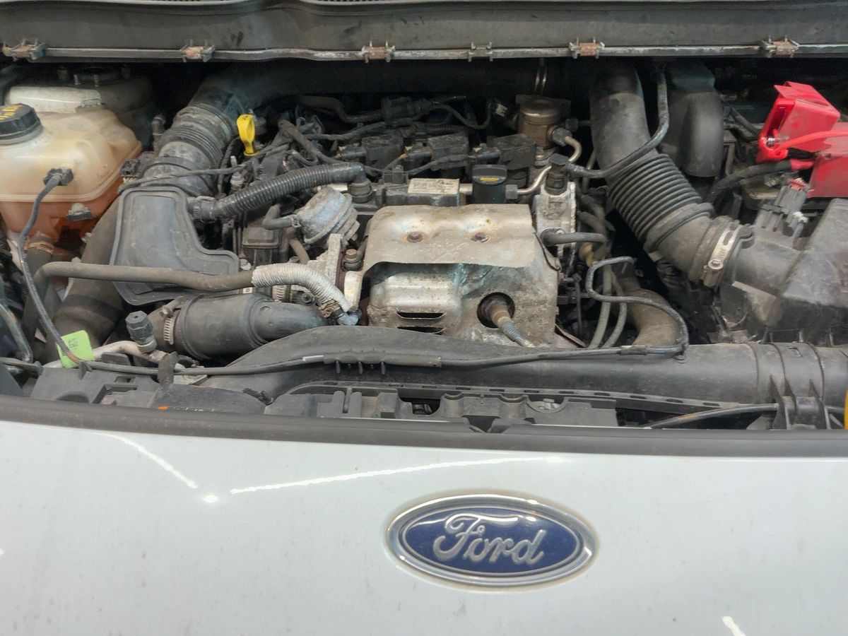 Ford Transit 2019 — photo 50