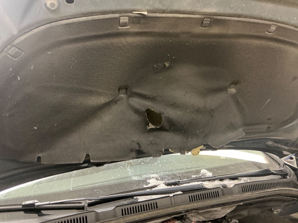 Seat Alhambra 2017 — photo 32