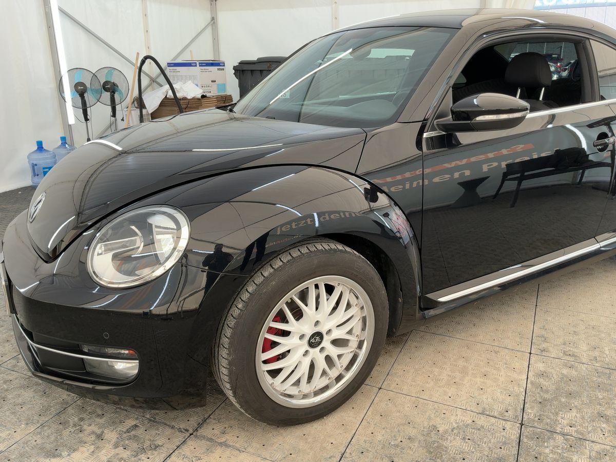 Volkswagen Beetle d'occasion